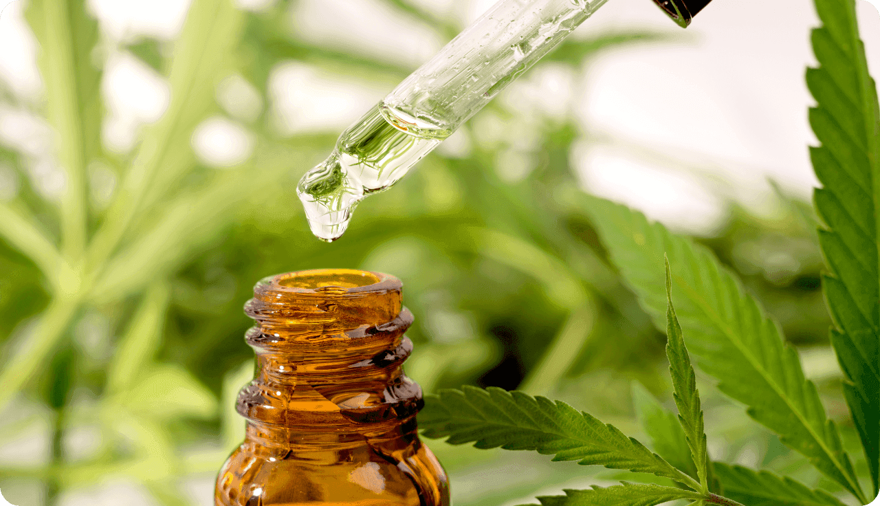 Cannabisextrakt mit einer Pipette und Cannsbisblätter im Hintergrund